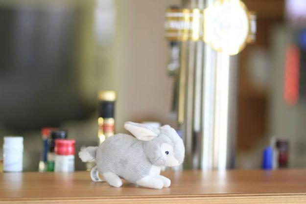 Landhotel Moellhagen Schulp bei Nortorf 部屋 写真